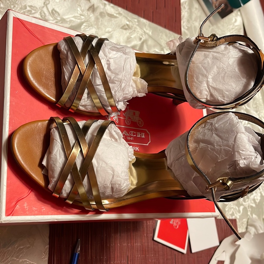 Coach Shoes